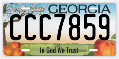 GA license plate CCC7859