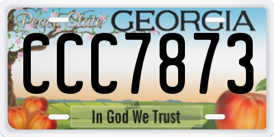 GA license plate CCC7873