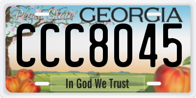 GA license plate CCC8045