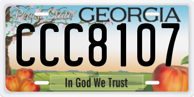 GA license plate CCC8107