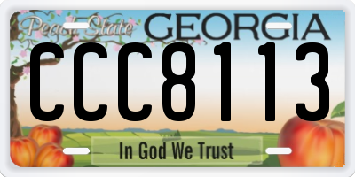 GA license plate CCC8113