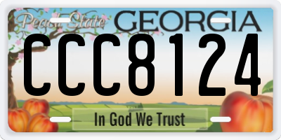 GA license plate CCC8124