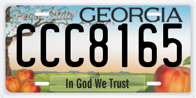 GA license plate CCC8165
