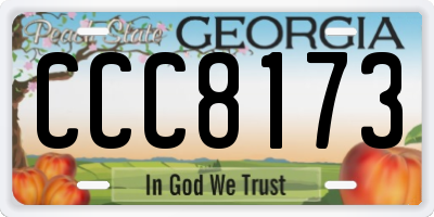 GA license plate CCC8173