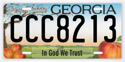 GA license plate CCC8213