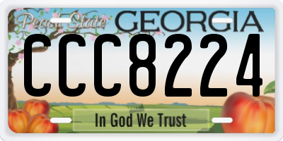 GA license plate CCC8224