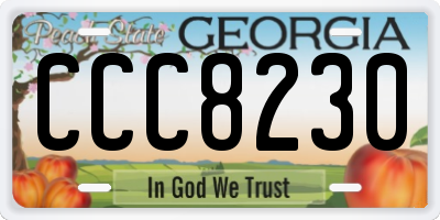 GA license plate CCC8230