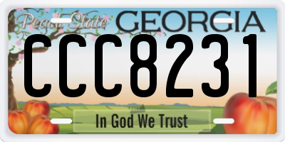GA license plate CCC8231