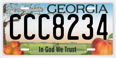 GA license plate CCC8234