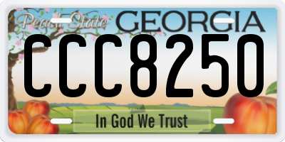 GA license plate CCC8250