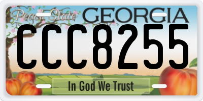 GA license plate CCC8255