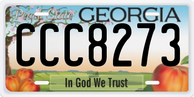 GA license plate CCC8273