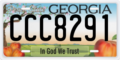 GA license plate CCC8291