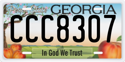 GA license plate CCC8307