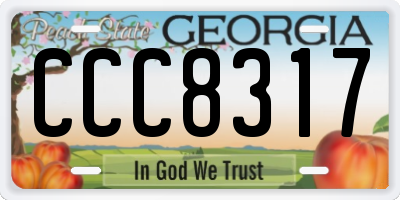 GA license plate CCC8317