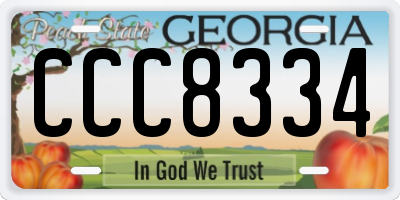 GA license plate CCC8334