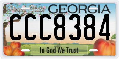 GA license plate CCC8384