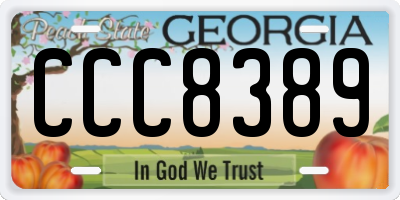 GA license plate CCC8389