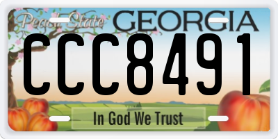 GA license plate CCC8491