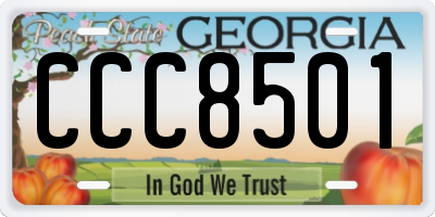 GA license plate CCC8501
