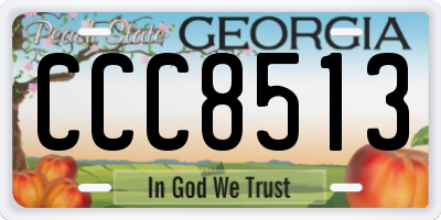 GA license plate CCC8513