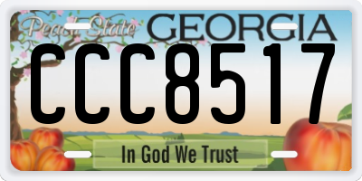 GA license plate CCC8517