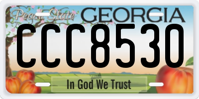 GA license plate CCC8530