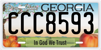 GA license plate CCC8593