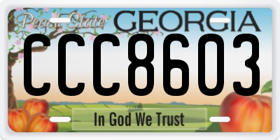 GA license plate CCC8603