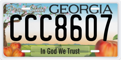 GA license plate CCC8607