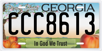 GA license plate CCC8613