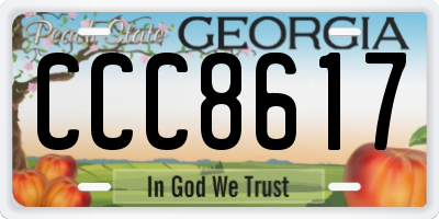 GA license plate CCC8617