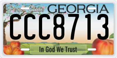 GA license plate CCC8713