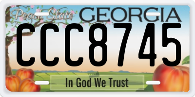 GA license plate CCC8745