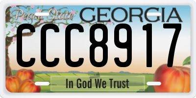 GA license plate CCC8917