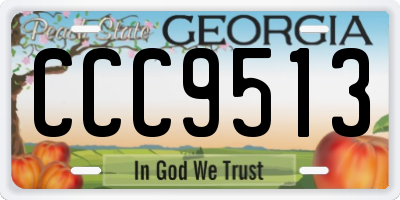 GA license plate CCC9513