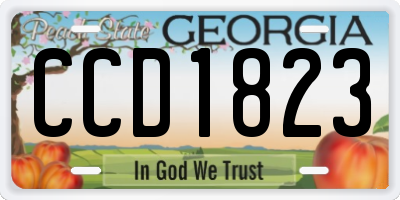 GA license plate CCD1823