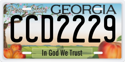GA license plate CCD2229