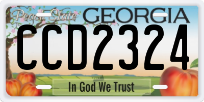GA license plate CCD2324