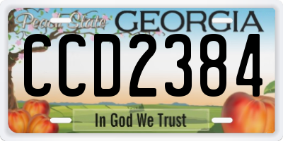 GA license plate CCD2384