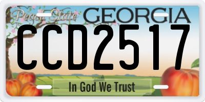 GA license plate CCD2517