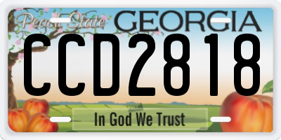 GA license plate CCD2818