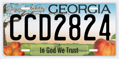 GA license plate CCD2824