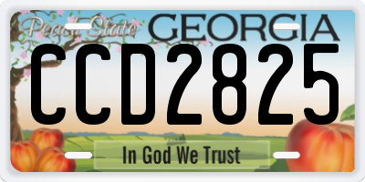 GA license plate CCD2825