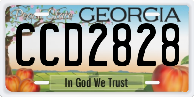 GA license plate CCD2828
