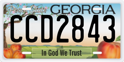 GA license plate CCD2843