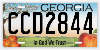 GA license plate CCD2844