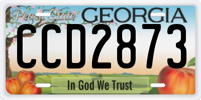 GA license plate CCD2873