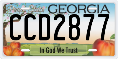 GA license plate CCD2877