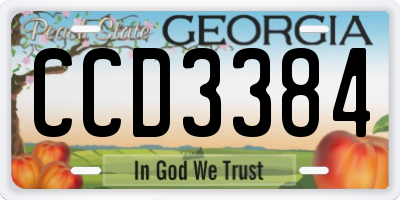 GA license plate CCD3384